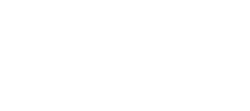 divi logo