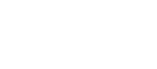 Electronee Logo